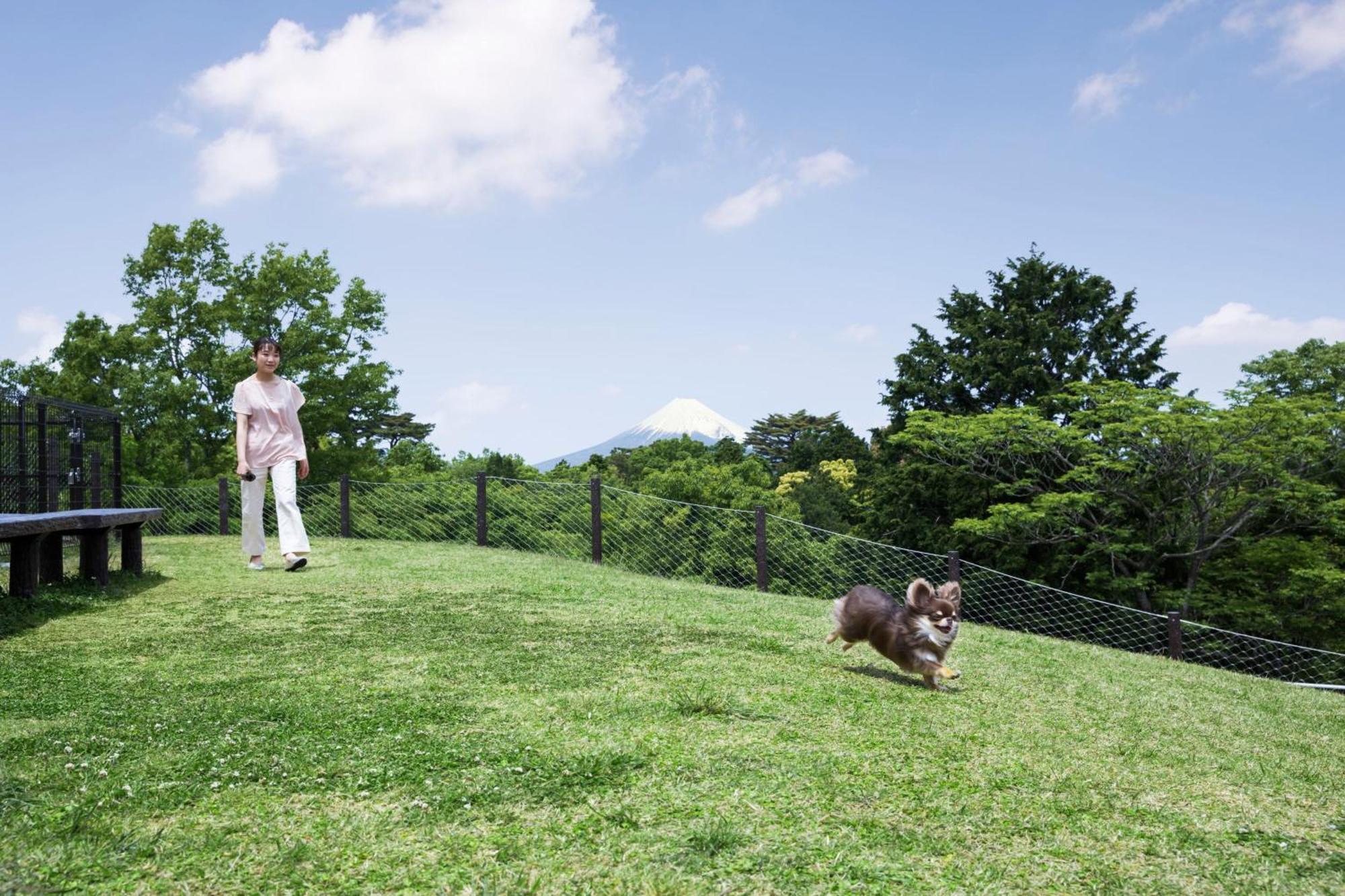 Izu Marriott Hotel Shuzenji Buitenkant foto